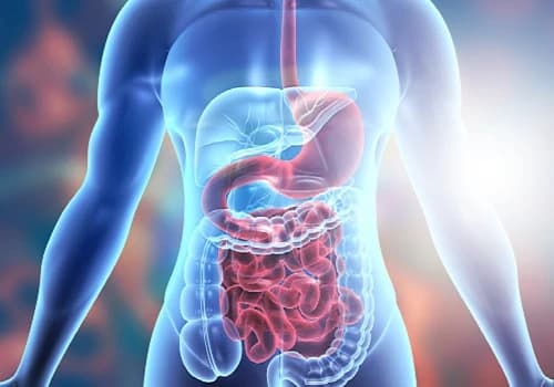 5 Signs Your Digestive System Is Not Working Properly Image