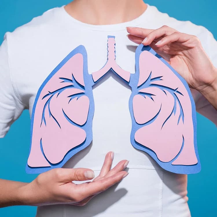 Professional Organizations Within Respiratory Care: What You Need to Know Image